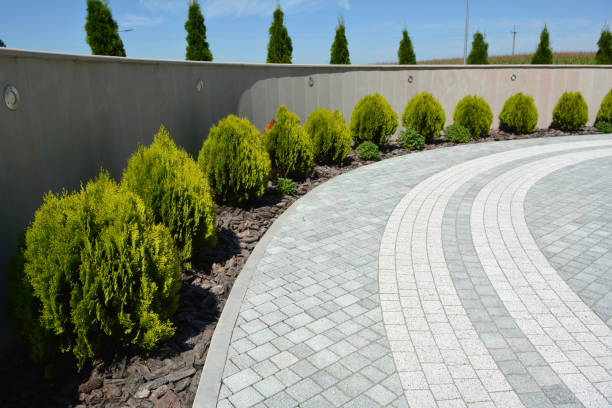 Best Driveway Pavers Installation  in Appleton City, MO