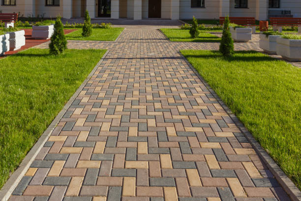 Best Local Driveway Pavers  in Appleton City, MO